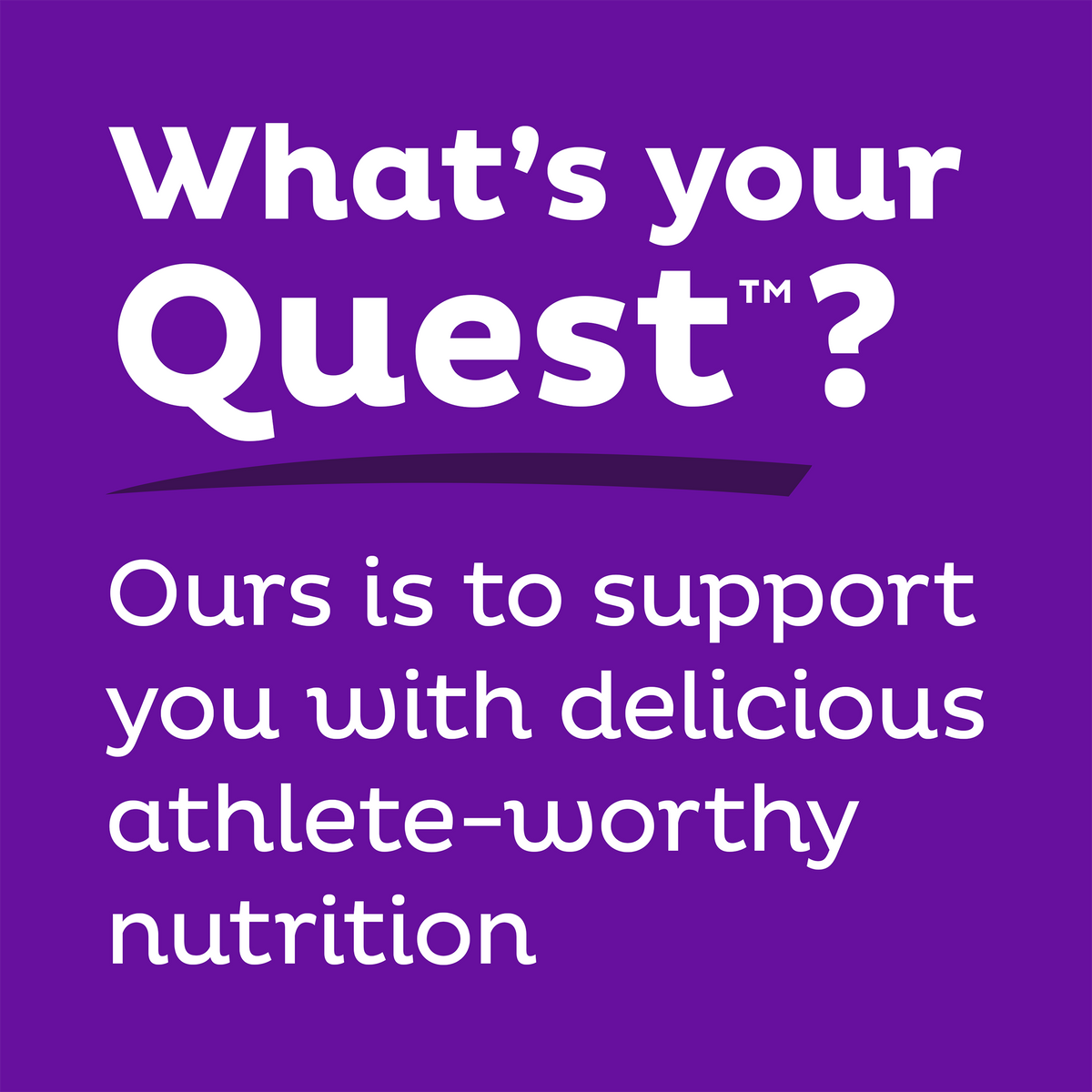 double-chocolate-chunk-protein-bars-m3 qst-000241_double-chocolate-chunk-protein-bars_9.png
